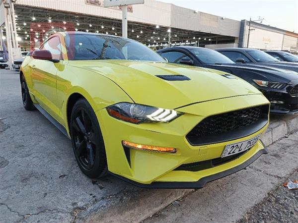 Ford for sale in Iraq